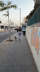 Routine street activity recorded in Tel Aviv neighborhood