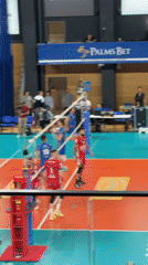 Daily life moments captured across Sofia: volleyball, traffic, portraits
