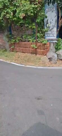 The video begins with a view of an exterior concrete pathway leading to a building with blue trim and a sign that reads "PARKING MASUK" with an arrow pointing left. There are potted plants and a hose visible. The camera pans to the right, showing a pink bougainvillea plant in a pot, with a green wall in the background. Further panning reveals a metal gate and a light green pillar. The video then shifts to a view from inside a vehicle, showing a roadside scene with vegetation, a metal fence, and a mirror reflecting the interior of the vehicle. The view continues along a road, with green fields on the right and a long, white building in the distance.