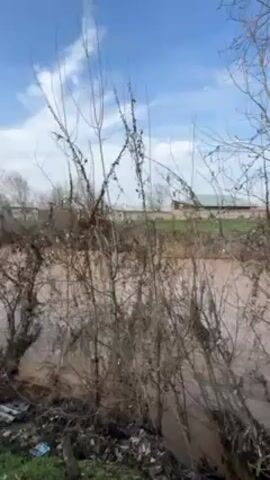 The camera points at a murky, brown river overflowing its banks. On the left side of the river, there is a pile of trash.  Bare trees and bushes line the riverbank in the foreground, partially obscuring the view of the water. In the background, a grassy field and a building are visible under a blue sky with scattered white clouds. The scene appears to be taken on an overcast day.