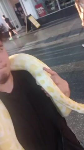 The video shows a man walking outdoors with a large, light-yellow and white snake wrapped around his neck and shoulders. He's wearing a black t-shirt. The snake is partially held in his hand. The background shows a city street with pedestrians and storefronts. One storefront displays a "50% OFF" sign. The man makes a face for the camera several times.