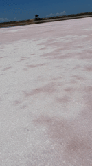Person walks barefoot across pink salt lake in Venezuela