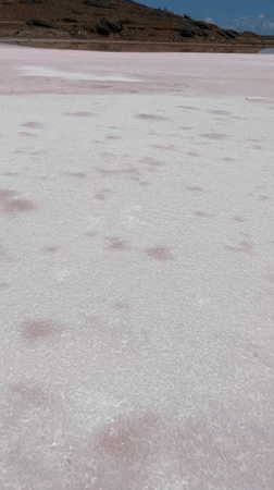Person walks barefoot across pink salt lake in Venezuela