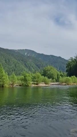 This is a landscape video, filmed from a body of water. The scene shows a wide river in the foreground, with ripples on its surface indicating a gentle current. On the far bank of the river, there is a sandy shore lined with lush green trees and bushes. Behind the trees, a large, densely forested mountain rises up, its slopes covered in a deep green carpet of coniferous trees. The mountain summit is partially obscured by a light haze and shows patches of snow, suggesting a high elevation or recent snowfall. The sky above is overcast with light, scattered clouds. The overall mood is serene and natural, evoking a sense of peaceful wilderness. The time of day appears to be daytime, likely late morning or early afternoon, given the brightness of the scene. The location is Vydrino, Russia. There is no visible text in the video.