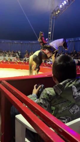 In a medium shot inside a circus tent, a boy is seen watching a horse act. The boy is seated in a box seat, his back turned towards the camera. He wears a green and gray patterned jacket. The box seat is painted red. In the circus ring, a woman in a red and black outfit stands on a horse as it balances on its hind legs. The horse is white and black, with a white mane. An assistant walks around the horse on the sand-covered ring. The audience surrounds the ring. Overhead, there are metal lighting structures. The tent ceiling is blue. The overall lighting is bright and colorful.