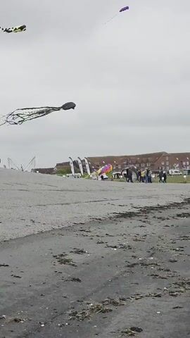 The video shows an overcast day at a kite festival on a beach. 
The video starts with a view of a beach covered in seaweed and then pans upwards to show a large purple octopus kite.  
The video then shows a stack of kites shaped like marine animals: rays, a shark, and a whale, flying in the sky.
Finally, the video pans to the sea, showing choppy water stretching to the horizon under the gray sky.  People can be seen walking along the beach in the background.