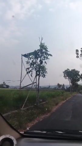 A short video captures a view from inside a vehicle driving on a paved road through a rural area. The landscape features lush green fields, trees, and distant hills under a cloudy sky. The road curves ahead, with some trees lining the right side. A motorcycle is parked on the right side of the road next to a pile of hay. The video appears to be a first-person perspective from a passenger or driver.