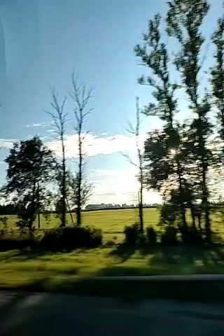 The video shows a view from a moving vehicle through a window. The sun is bright and positioned in the upper right portion of the frame, casting a glare. The scene outside consists of a grassy field with some trees, telephone poles, and houses in the distance. The sky is blue with some scattered clouds. Reflections are visible on the window, including what appears to be a person's hand and arm wearing a jacket. The camera is panning slightly to the right, following the movement of the vehicle. The overall impression is of a rural landscape viewed during daylight.