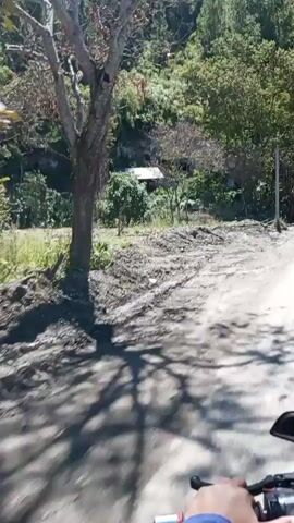 A grainy video shows a dirt road winding through a forested mountainous area. The road is rough and appears to be under construction or in disrepair, with piles of dirt and debris visible. The surrounding landscape is covered in dense green vegetation, with tall trees and bushes growing on the slopes of the mountains. The sky is a clear blue. In the distance, a small, rustic structure with a tin roof is nestled amongst the trees. The camera appears to be mounted on a moving vehicle, as the scene is constantly shifting and changing perspective. The overall impression is one of a remote, undeveloped area that is being traversed by a vehicle.