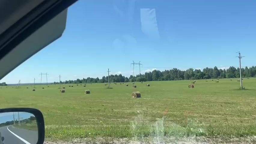 This video shows a view from inside a vehicle, looking out over a rural landscape in Zasur'e, Russia. The scene is dominated by a wide, green field dotted with numerous round hay bales. In the distance, a dense line of trees forms the horizon, with a clear blue sky above. Several tall, lattice-like power line towers and smaller utility poles with wires are visible across the field, indicating the presence of infrastructure. A black car side-view mirror is prominently in the lower left corner, reflecting a road with a white line marking, and glimpses of distant water and trees, suggesting the vehicle is in motion on a road adjacent to the field.

The time of day appears to be midday, given the bright sunlight and clear sky, indicating fair weather. The overall impression is one of a peaceful, agricultural setting, possibly during late summer or early autumn when hay baling typically occurs. No people are visible in the frame. The image is static, with no discernible activity or events taking place beyond what might be inferred from the vehicle's motion. There is no visible text within the frame.
