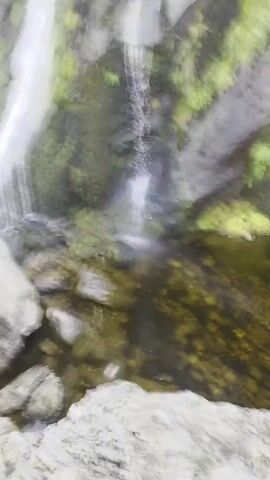 A vertical, close-up video shows a narrow, cascading waterfall flowing down a rocky, moss-covered cliff face. Several streams of water descend the dark grey rock, some appearing thicker than others. Green moss and small plants are visible growing on the rocks, particularly to the left of the main waterfall and higher up the cliff. At the bottom, the water collects in a shallow pool, with visible stones and pebbles beneath the clear, green-tinted water. Large, light-colored rocks are positioned in the foreground and to the left of the frame, partially obscuring the view of the waterfall's base. The overall lighting is overcast, suggesting a cloudy or misty day.