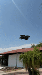 Desert plants documented in Tehuixtla botanical display