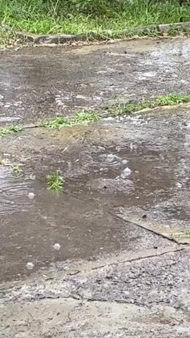 The video shows a close-up, eye-level view of a wet, cracked concrete surface with some grass growing in between the cracks. The surface is covered in puddles and the rain is causing ripples and splashes on the water's surface. Bubbles are also visible in the puddles. In the background, more grass and possibly a wooden fence are visible. The lighting suggests an overcast or rainy day.