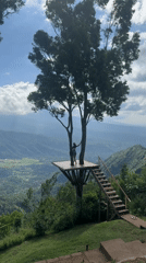 Woman enjoys mountain valley views from tree platform in Bali