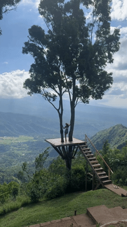 Woman enjoys mountain valley views from tree platform in Bali