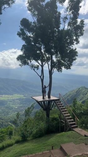 Woman enjoys mountain valley views from tree platform in Bali