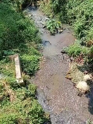 A slow-motion video shows a muddy stream flowing through green foliage. The water is dark and appears to be polluted. Debris can be seen floating on the surface. The stream is bordered by dense vegetation on both sides.