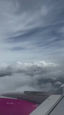 This is a first-person, vertical, point-of-view video taken from an airplane window. The video shows the wing of the airplane, which is painted pink and has "NO STEP" written on it in white text. Above the wing are clouds, and beyond the clouds is a blue sky with streaks of white clouds. The lighting suggests it is daytime. There are no people visible in the video, and no actions or interactions are occurring.