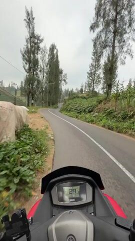 This video captures a first-person perspective of riding a red Yamaha scooter along a winding asphalt road. The scene is set in a rural, mountainous area, likely Ngadas, Indonesia, characterized by lush greenery and terraced hillsides. Tall, slender trees with dense foliage line the road, creating a canopy overhead in some sections. The hills in the background are a patchwork of cultivated fields in varying shades of brown and green, suggesting agricultural activity.

The rider's digital dashboard is visible, displaying the speed as 29 km/h at the beginning, increasing to 30 km/h shortly after. The weather appears overcast, with a grey sky, indicating a possibly cool or humid day. There are some instances of litter visible along the side of the road, such as white plastic bags and other debris. The overall mood is one of peaceful travel through a natural landscape. The camera's perspective is fixed, looking forward from the handlebars of the scooter. The video is shot in a vertical orientation. There are no people visible in the video, emphasizing the solitary journey.