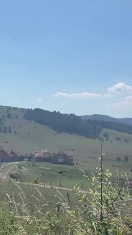 This media file captures a rural landscape scene in the Cajetina Municipality of Serbia. The view is dominated by rolling green hills under a clear blue sky with scattered white clouds, suggesting a sunny day. In the foreground, tall grasses sway, and a dirt path winds through a grassy field. A collection of traditional rural buildings, possibly farmhouses, with distinctive thatched roofs are visible in the mid-ground. Some of these structures appear to be in various states of repair or under construction, with exposed wooden beams. A fence line runs through the fields, and a few dark shapes, possibly livestock or farm equipment, are present. The overall impression is one of a serene, agrarian setting bathed in the bright light of day. There is no visible text in the media file.