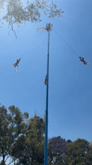 Traditional Voladores dance ceremony performed in Mexico City