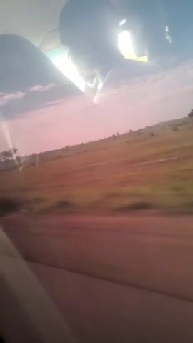 The video shows a view from inside a vehicle looking out the side window. The landscape outside is blurry due to motion, suggesting the vehicle is moving. The scenery appears to be a rural area with fields, scattered trees, and a clear sky with some clouds. The sky has a pinkish hue, possibly indicating sunrise or sunset. In the foreground, a person's head and shoulders are visible in the reflection on the window, obscuring a portion of the outside view. The person appears to be wearing a dark shirt and possibly sunglasses.
