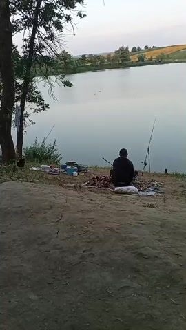 A man sits on the bank of a lake, facing away from the camera, with fishing rods set up beside him. He is surrounded by fishing gear and what appears to be bait. The lake is calm, reflecting the sky and the surrounding landscape of rolling hills and fields. The overall scene suggests a peaceful, solitary fishing excursion at dusk.