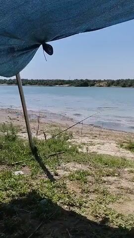 The video shows a person fishing from the shore of a body of water. The water appears to be calm and somewhat shallow near the shore. There are trees and bushes in the distance across the water, and the sky is clear and blue. The foreground shows a sandy or dirt bank with some dry grass and vegetation. A fishing rod is visible, propped up and in the water, with the line extending into the lake. There are also some bags and gear placed on the ground near the fishing spot, suggesting preparation for a fishing trip. The overall scene conveys a relaxed, outdoor activity, likely taking place on a sunny day.