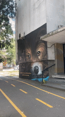 Street murals and summer moments around Burgas, Bulgaria