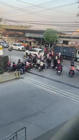 The video captures a bustling outdoor scene, likely a street or parking area, filled with numerous motorcycles and a few cars. The time appears to be late afternoon or early evening, judging by the warm, soft lighting and the long shadows.

In the foreground, a wide paved area with distinct lane markings leads into the main scene. A person on a motorcycle with a green scooter in the background is visible moving away from the camera. A concrete barrier with metal railings is present on the left side of the foreground.

The central focus is a large group of people on motorcycles, seemingly gathered or navigating a congested area. Many of the motorcycles are small-displacement scooters. The people on the motorcycles are varied in age and gender, and many are wearing casual clothing, including some with headscarves. Some are in motion, while others appear to be stationary, waiting or observing.

Behind the motorcycles, a row of buildings and structures forms a backdrop. One building has a prominent blue sign that reads "PENTAS GEMILANG MOTOR ISTANA" in white lettering, with a parking symbol. A tree with green foliage stands to the right of this building. Several cars, including a white SUV and a smaller yellow vehicle, are parked or moving in this area. A large blue truck loaded with wooden planks is also visible, parked to the right. Power lines crisscross the sky above the scene.

The overall impression is one of a lively, active environment, possibly a market, a transportation hub, or an event, characterized by a high volume of motorcycle traffic and pedestrian activity. The interactions between people and vehicles suggest movement, waiting, and general social engagement.