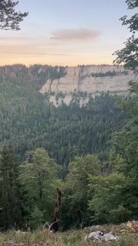 The video shows a panoramic view of a vast forest leading to a sheer cliff face. The cliff is made of white rock and appears to have some vegetation growing on it. The forest is dense and green, with many trees of varying heights. The sky above is a pale blue with some scattered clouds, and the light suggests it is either early morning or late evening. The foreground shows the tops of trees and some rocky terrain, indicating the viewpoint is from a higher elevation looking down into the valley and across to the cliff. There are no people or discernible objects visible in the scene, and no actions or interactions are taking place. The environment is natural and appears to be a wilderness area.