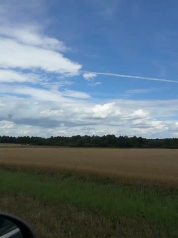 The video captures a view from a moving vehicle on a clear day. The scene is dominated by a vast field of golden crops, likely wheat or barley, stretching towards a dense line of dark green trees in the distance. The sky above is a vibrant blue, adorned with scattered white cumulus clouds, with a faint contrail visible high up. The foreground shows a strip of green grass and foliage, with the curved edge of a car's side mirror visible in the lower left corner, indicating the perspective is from inside the vehicle. The camera is panning slowly, likely capturing the passing landscape. The overall impression is one of rural tranquility and a journey through an agricultural region under a bright sky.