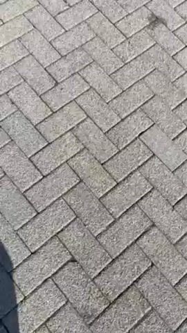 The video shows a paved path winding through a landscape with patches of snow and some trees in the background. The path is made of gray bricks laid in a herringbone pattern. On one side of the path, there's a curb and a snow-covered area. The sky is clear and blue, and the sun is shining. The camera appears to be moving along the path. In the distance, a field covered in snow can be seen, with a line of trees on the horizon.