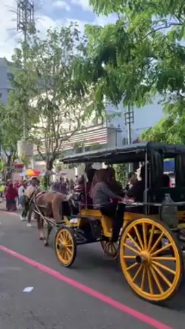 Okay, here's a concise description of the video:

The video shows a street scene with a horse-drawn carriage moving through a crowd of people. The carriage is black and yellow.  The horse pulling it is brown. The street is lined with trees, and there are buildings in the background, including a tall building with a cellular tower on top. A red line is painted on the road. The weather appears sunny with a partly cloudy sky. Several people are walking along the street including one woman holding a green dinosaur balloon.