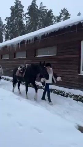 The video shows a saddled, dark-colored horse being led through a snowy area by a person dressed in jeans, black boots, and a white sweater over a brown jacket. The horse has white markings on its lower legs. The person is holding the horse's bridle. They are walking next to a wooden building adorned with icicles hanging from the roof and blue Christmas lights above the window.  Bare trees are visible in the background.
