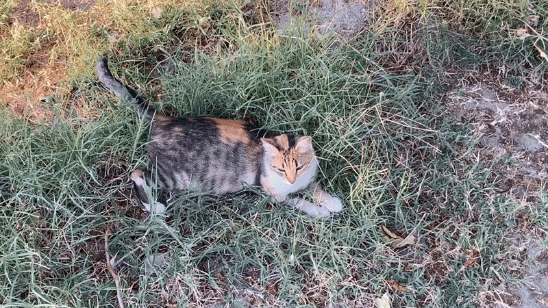 Avanos İlçe Merkezi, Turkey