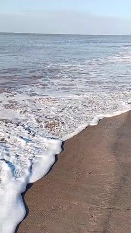 A drone shot pans over a beach and ocean. Waves crash onto the sandy shore. The water is calm and blue, with white foam from the waves. The sky is clear and light blue.