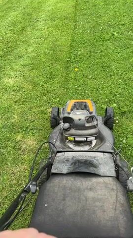 The video shows a person mowing a green lawn with a black and yellow lawnmower. The lawnmower is in the center of the frame, moving forward over the grass. The person's hand is visible on the handle of the mower. The lawn appears to be a mix of grass and some weeds. The weather appears to be good.