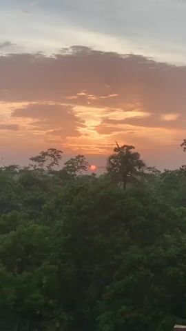 A time-lapse video captures a sunset over a dense green forest. The sun, a small red disc, is partially obscured by clouds. The sky transitions from a pale gray at the top to a warm orange and pink hue closer to the horizon, illuminated by the setting sun. Scattered trees poke above the canopy, silhouetted against the colorful sky. The overall atmosphere is serene and natural.
