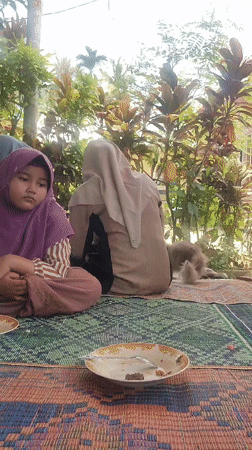 Outdoor meal gathering with cat in Tanjongputoh, Indonesia