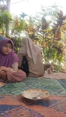 The video shows a group of people sitting on a mat under an open-air structure. The mat is multicolored and patterned. Several plates with leftover food are visible.  A young girl with short dark hair and a white shirt sits facing to the side.  Other individuals, mostly women wearing hijabs, are seated around the mat. One woman is wearing a purple hijab. Some individuals appear to be looking at their phones. Green trees and foliage surround the area.