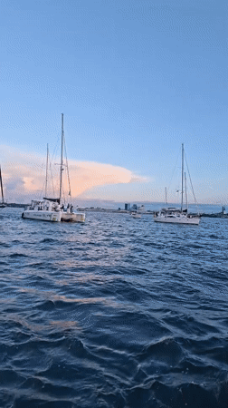 Catamaran SAILINGEE out on the water near Tallinn