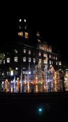 Illuminated fountain display lights up historic Subotica building at night