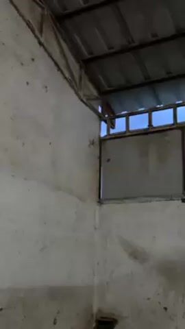 The video shows a corner of an empty room with a gray metal roof and white concrete walls. A large spider is visible on the wall. A window frame is partially visible in the corner. The sky is visible through the window. The video is shot from a static perspective.
