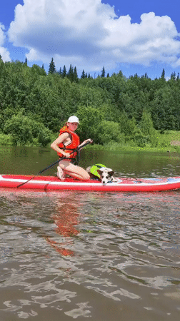 Dog and paddleboarder cruise calm Russian waters together