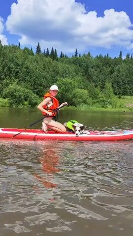 A person in an orange life vest and white hat kneels on a red paddleboard, paddling a dog wearing a green life vest. The paddleboard is on a calm body of water. In the background, a lush green forest with tall trees lines the shore, under a bright blue sky with fluffy white clouds.