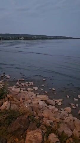 A video shows a rocky shoreline with a calm body of water extending into the distance. The sky is overcast and the lighting suggests dusk or dawn. Buildings are visible on the horizon. The water has gentle ripples, indicating minimal wind. The foreground is dominated by various-sized rocks and some sparse vegetation.
