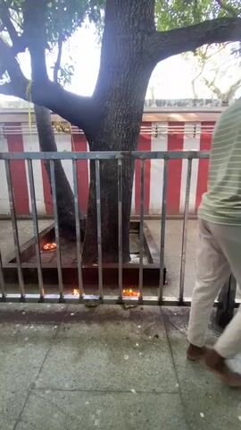 A person in a light blue shirt and black pants walks by a tree that has several lit oil lamps at its base. The tree is in front of a red and white striped wall and is enclosed by a metal fence. The ground is paved with stones.