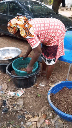 Traditional food processing and domestic work in Akwanga