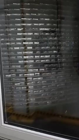 The video shows a close-up of a window with horizontal blinds. The blinds appear to be made of a metallic material and are angled, creating a striped pattern. Some reflections are visible on the blinds, suggesting an indoor environment. The window frame is white. There is a latch on the right side of the window, also appearing to be made of a light-colored metal. The bottom of the window shows a glimpse of what appears to be a yellow object or surface beneath the blinds. The lighting is dim, and the overall impression is that of a window that is partially closed or covered by blinds, with a hint of the outdoors or another room visible through the slats.